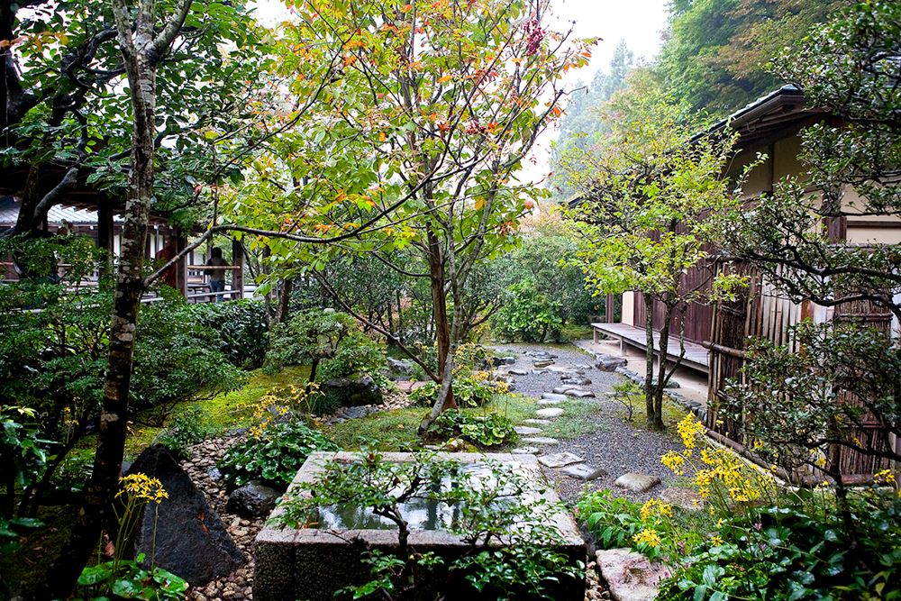 ©Peter Randall - Temple Garden, Kyoto, Japan